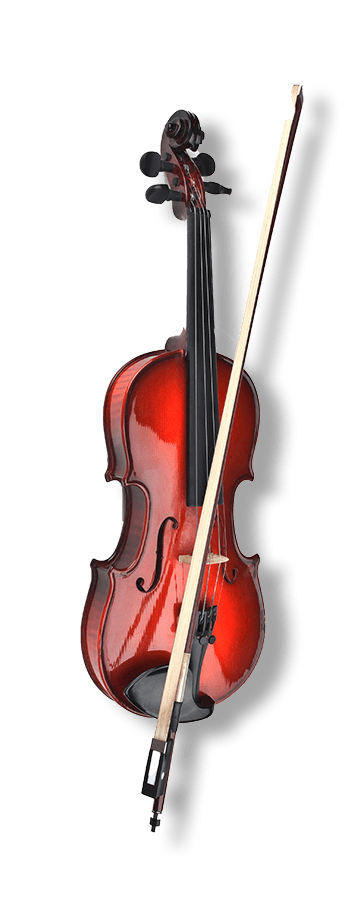 Violin